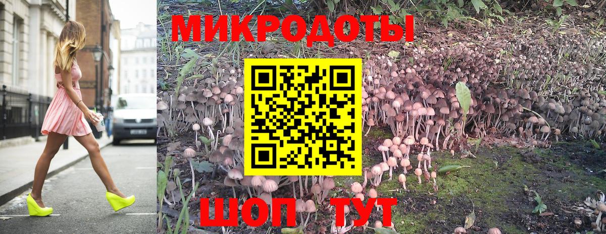 Чернушка  Псилоцибиновые грибы Magic Shrooms  Вход с VPN 
