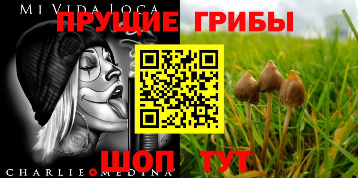 Галлюциногенные грибы мицелий Чернушка